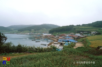 노화도