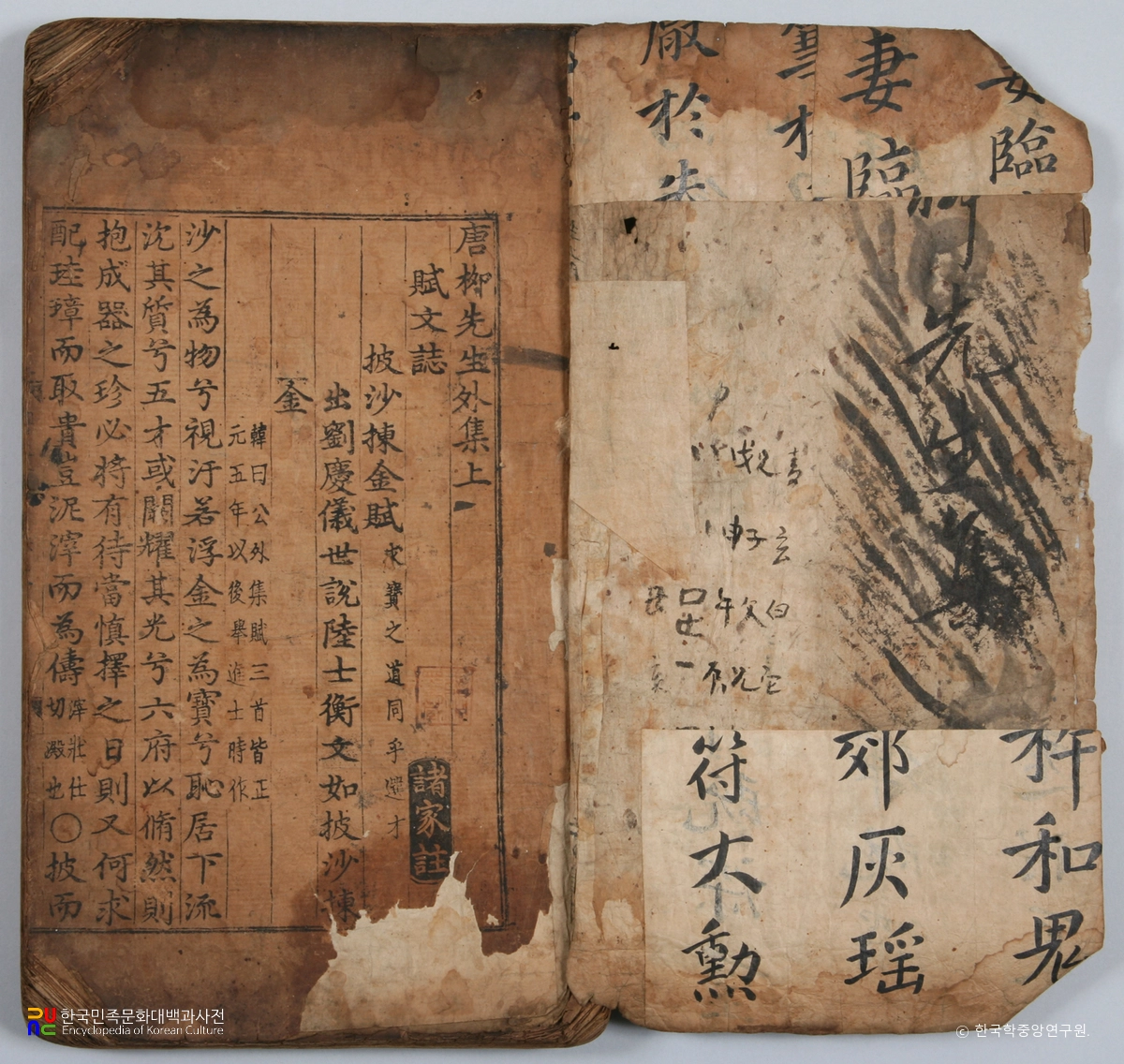 선산 노진환 소장 전적 / 당유선생외집 권수