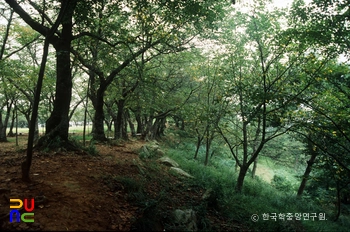 슬롯무료 선진리성 전경