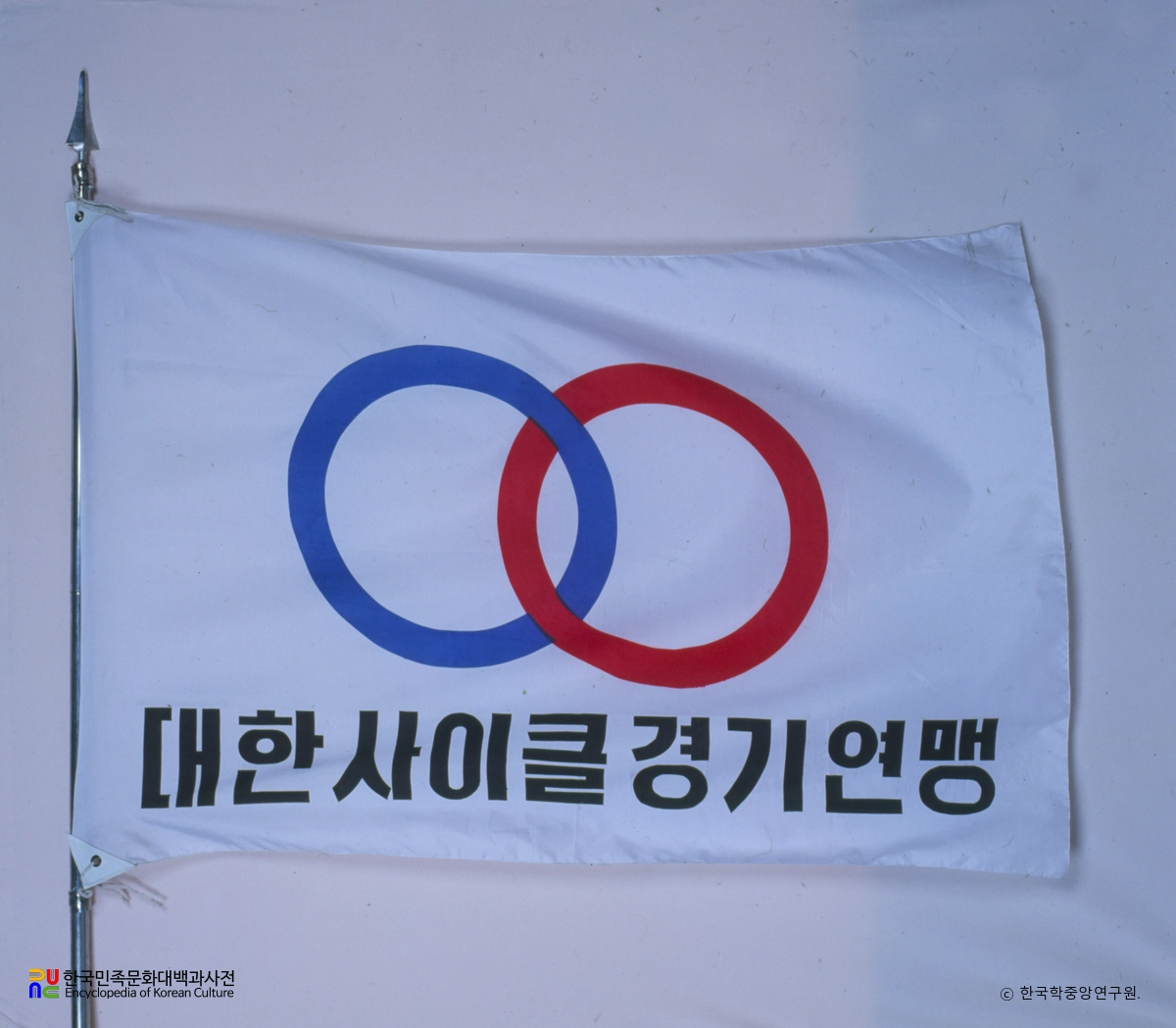 대한사이클경기연맹 기