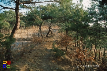 남원 척문리 산성 전경