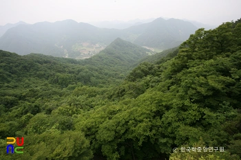 제천 복평리 모감주나무 군락