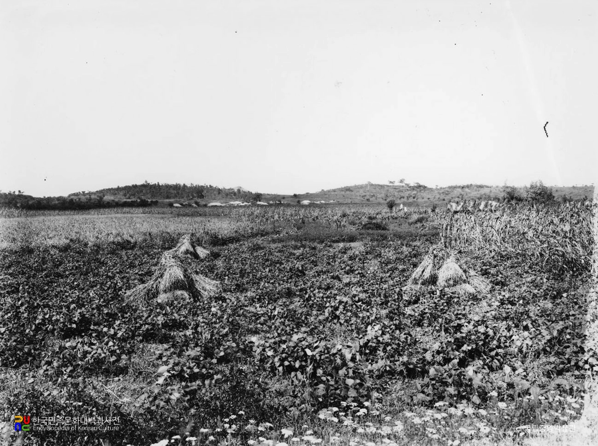 평양 중흥사지 전경