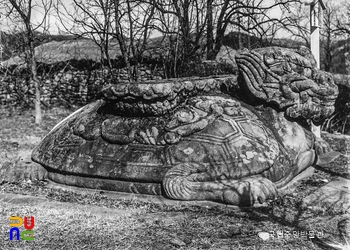 여주 고달사지 원종대사탑비 귀부 정측면