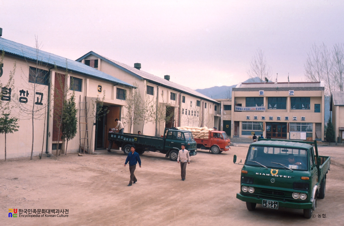 농업협동조합 단위조합