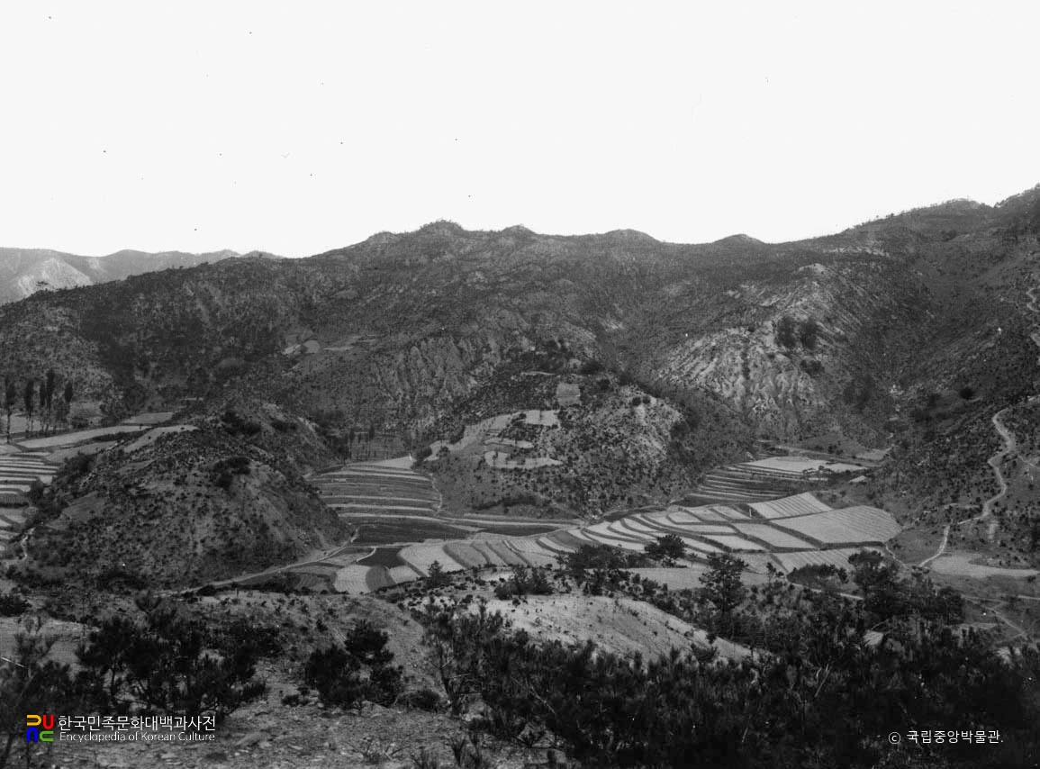 고령 지산동 고분군 전경