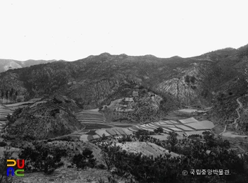 고령 지산동 고분군 전경