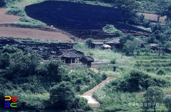 노수신 적소