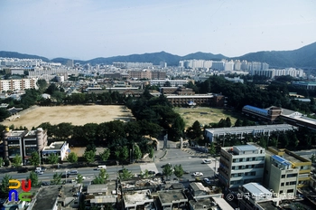 광주교육대학교