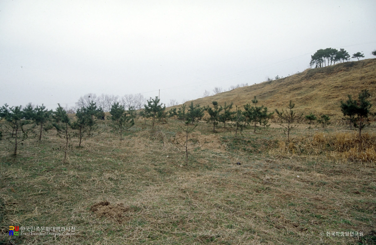 동남리 전천왕사지
