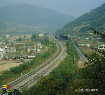 슬롯 머신 배팅 방법