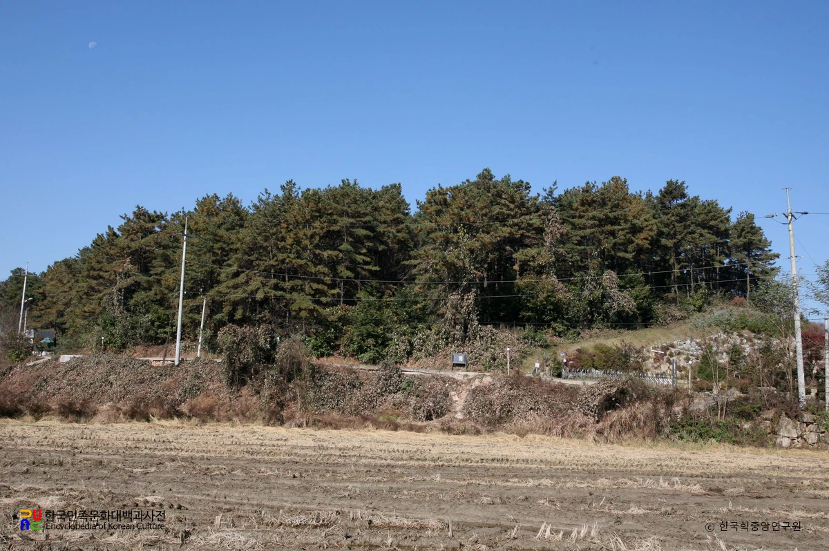 여주 매룡리 고분군