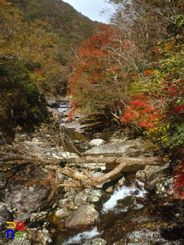 지리산 피아골