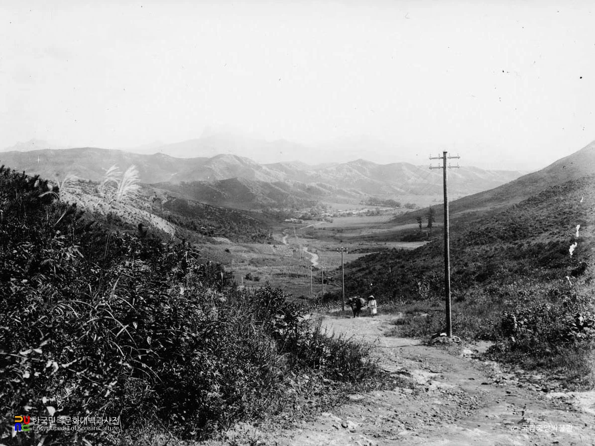 고양 벽제리 전경