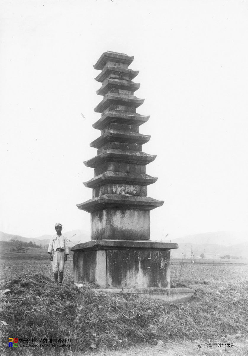 청양 서정리 구층석탑