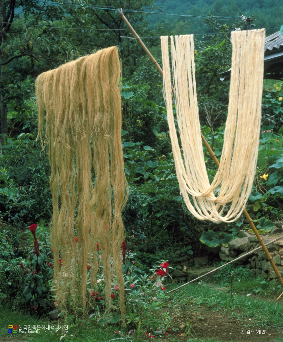 곡성의 돌실나이 / 표백하기