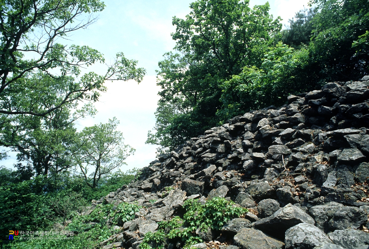 연기 금이성 성벽