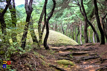 경주 신라 정강왕릉