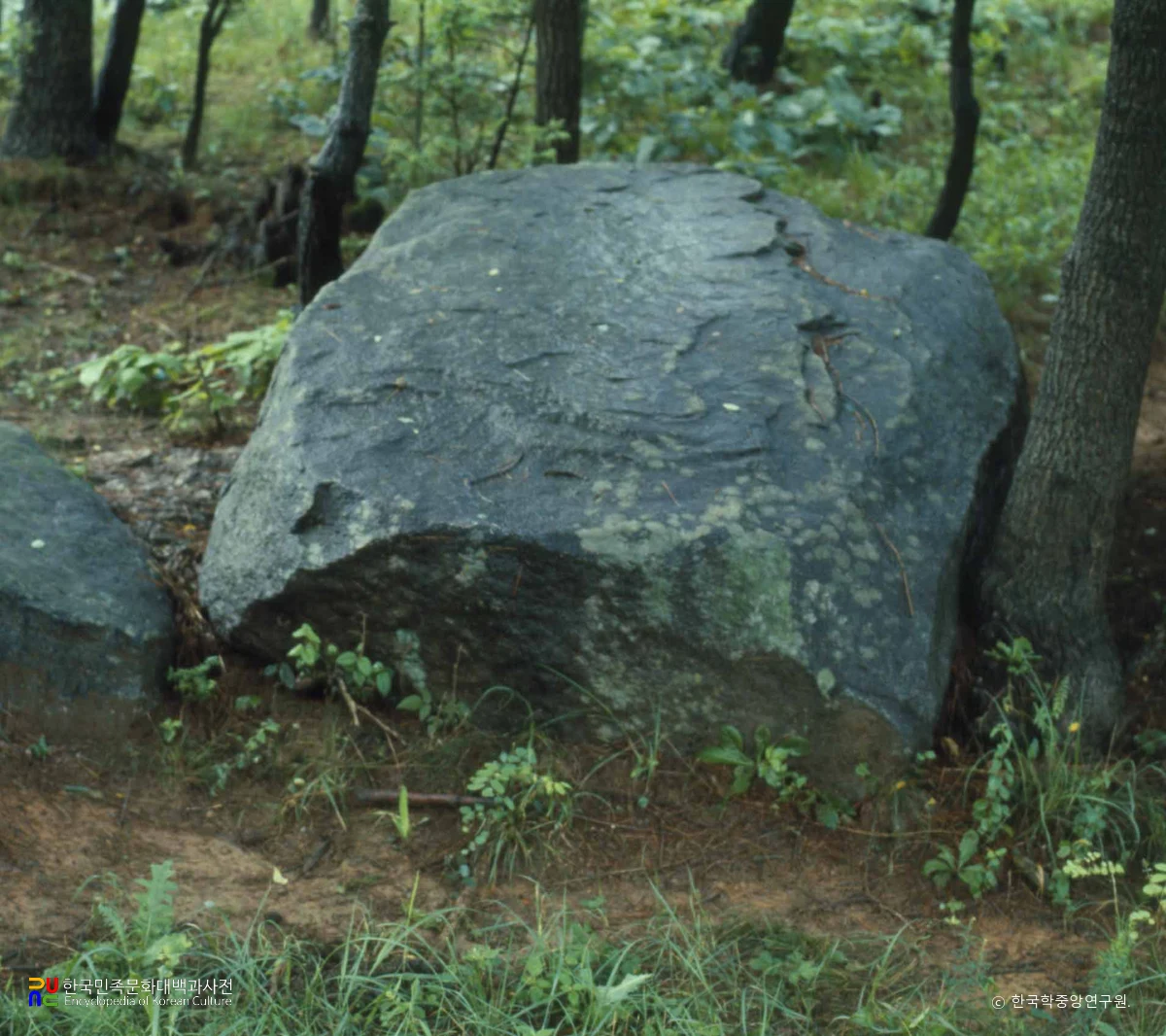 강원 고성 죽정리 유적