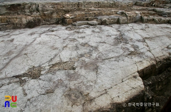 화순 서유리 공룡발자국 화석산지