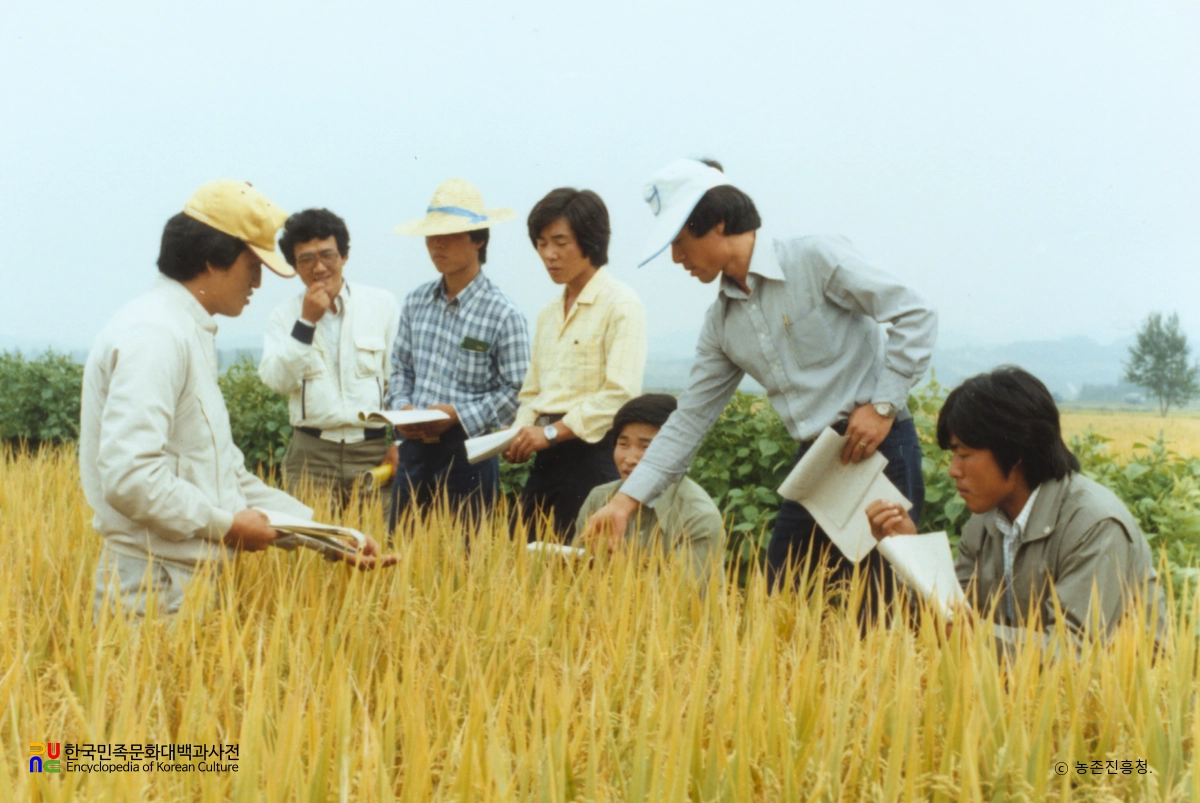 농촌지도산업 / 현장 지도