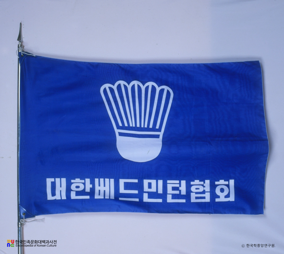 대한배드민턴협회 기