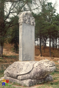 여주 이완 신도비 측면