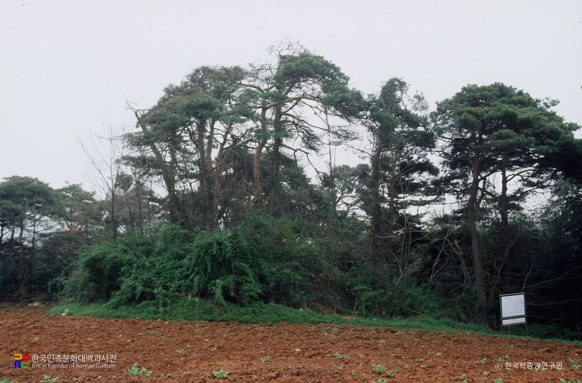 나주 송제리 고분