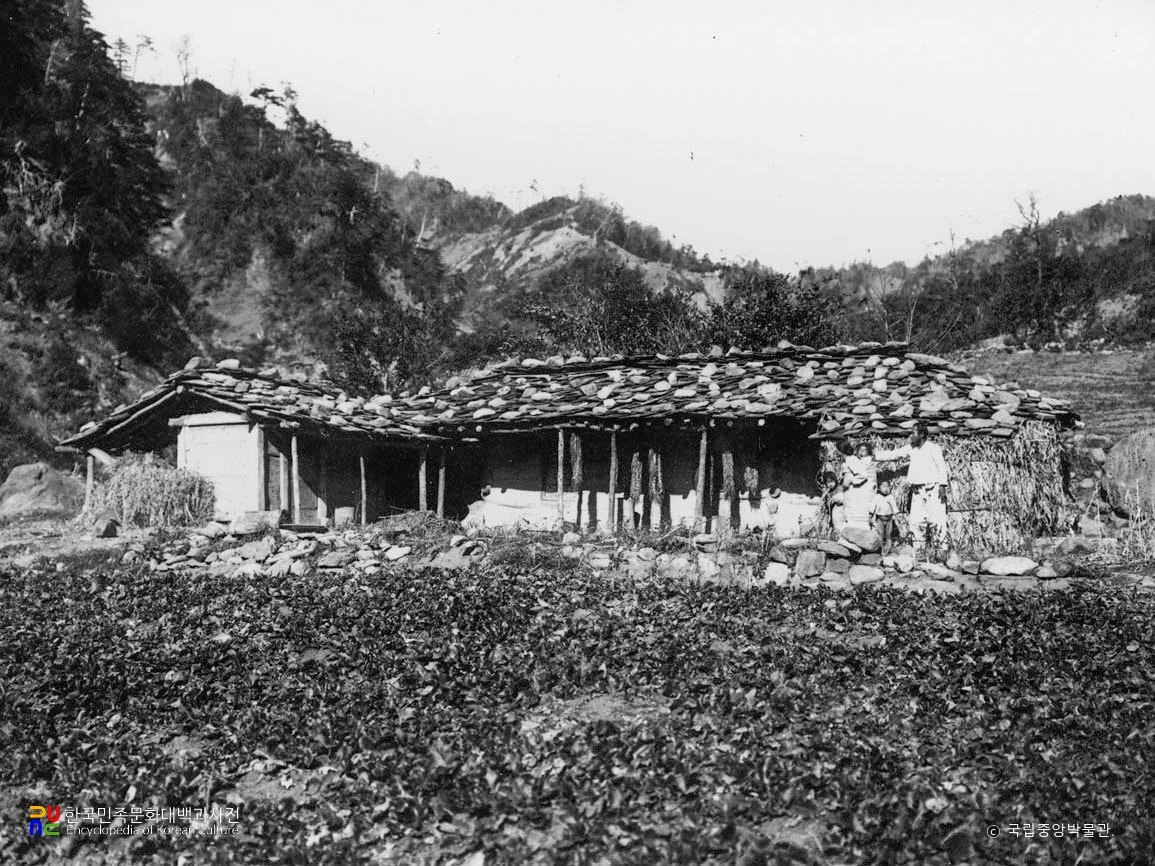 울릉 남서동 너와집 전경