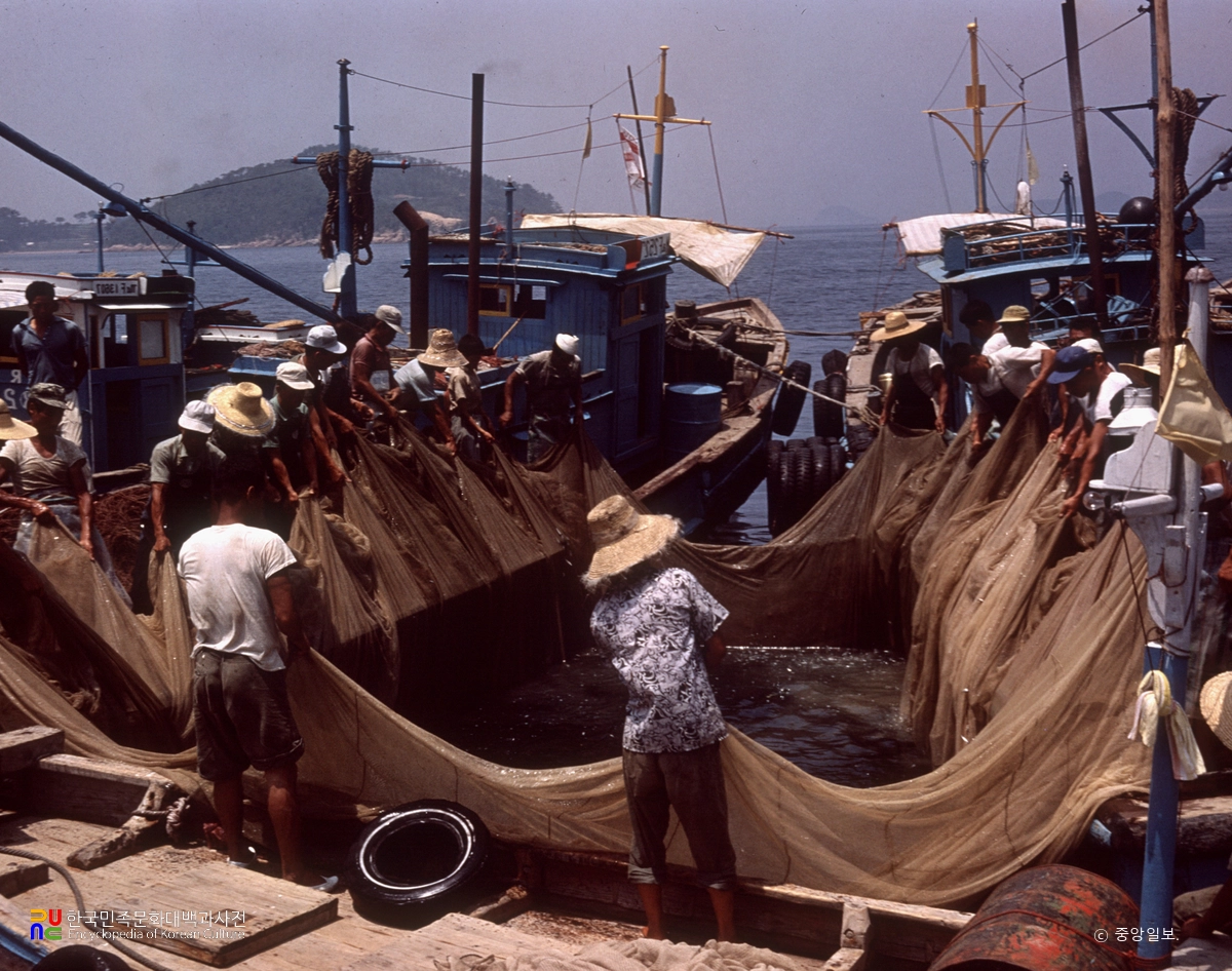 멸치잡이 / 그물 당기는 모습