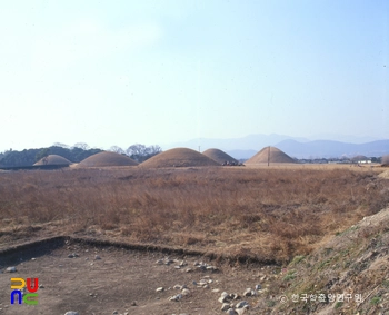 경주 교동 고분군 북동면 전경