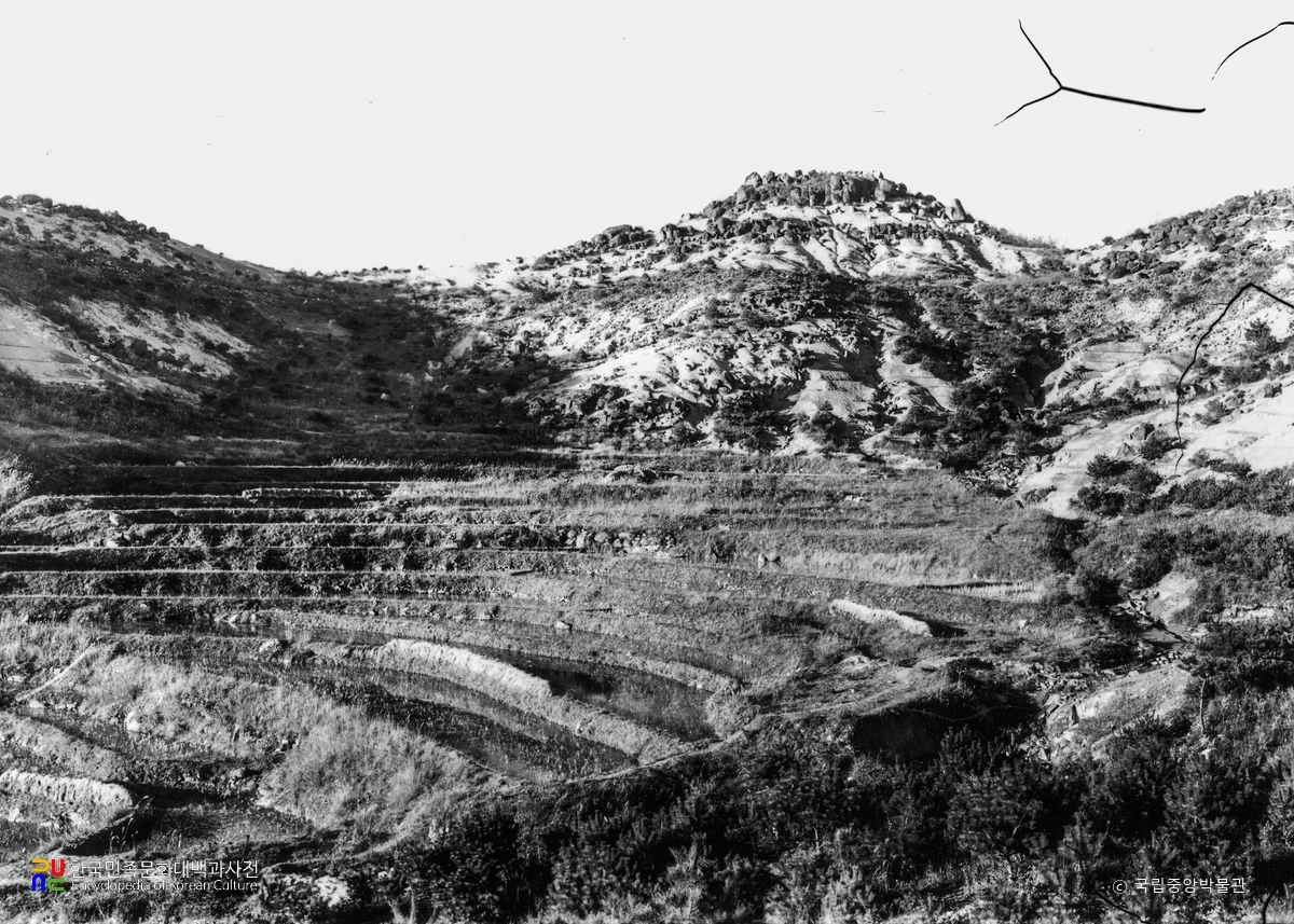 경주 남산 일원 중 윤을곡 상실사지 전경