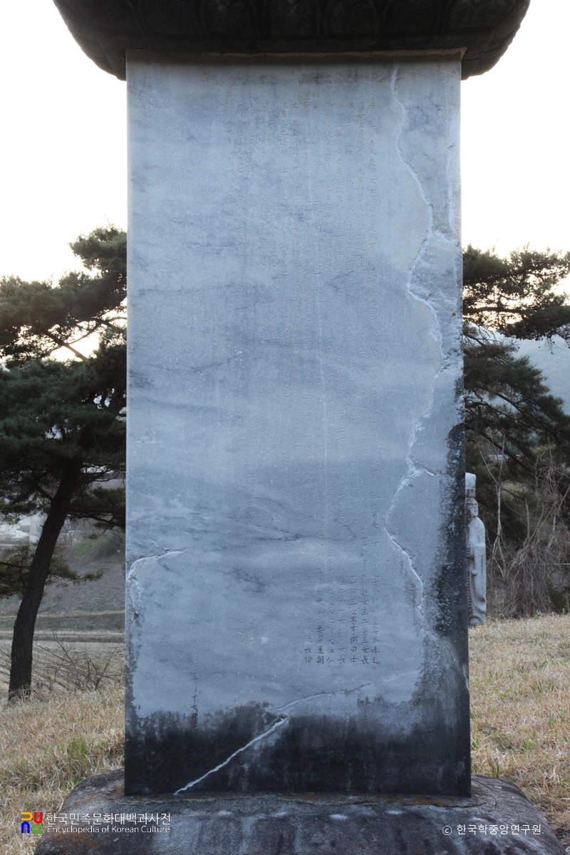 함양 평촌리 신고당 신도비 후면