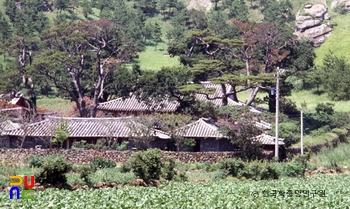 대정향교
