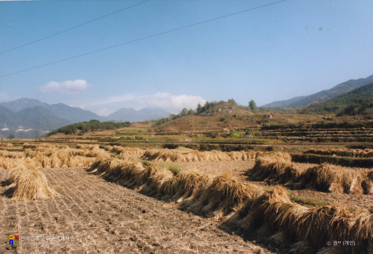 합천 반계제 고분군