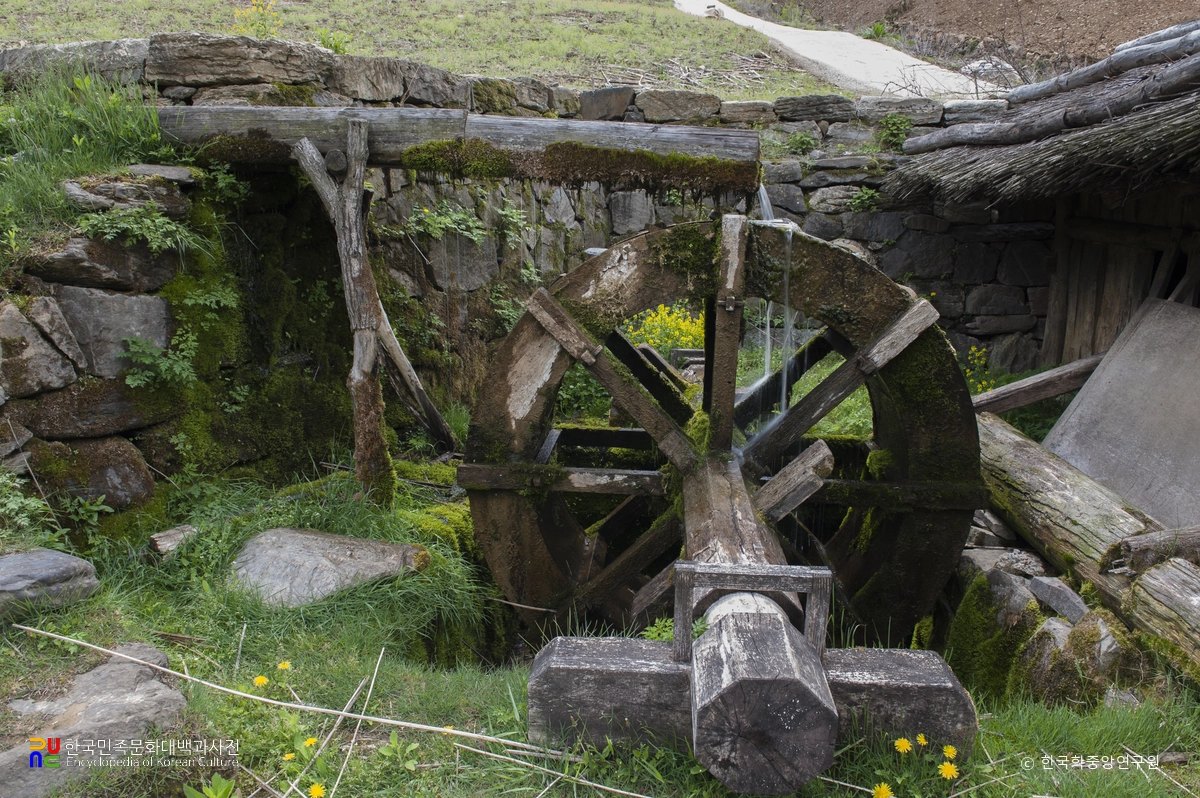 정선 백전리 물레방아 귀애