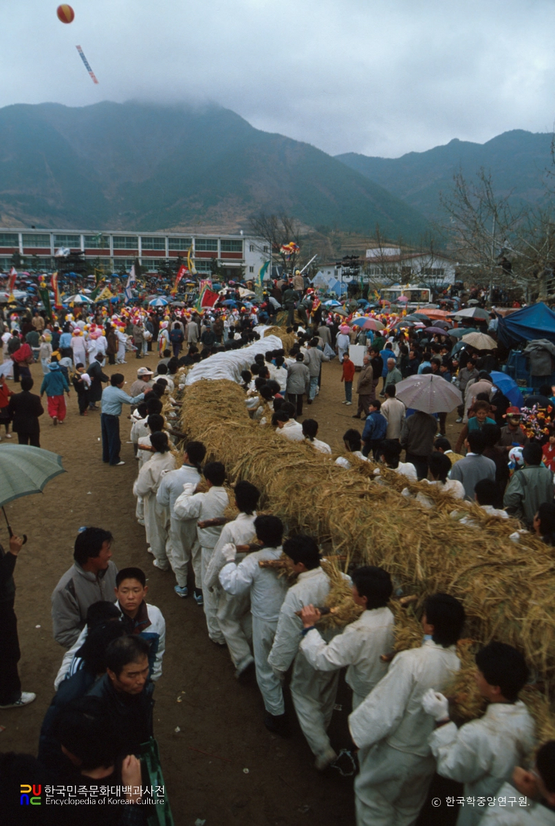영산 줄다리기 / 줄나르기
