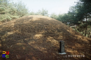 경주 신라 문성왕릉 정측면