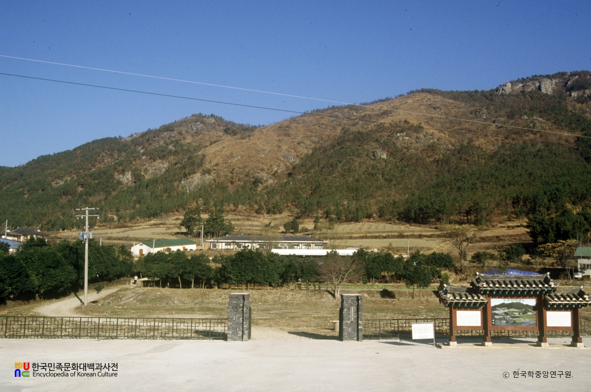 강진 고려청자 요지