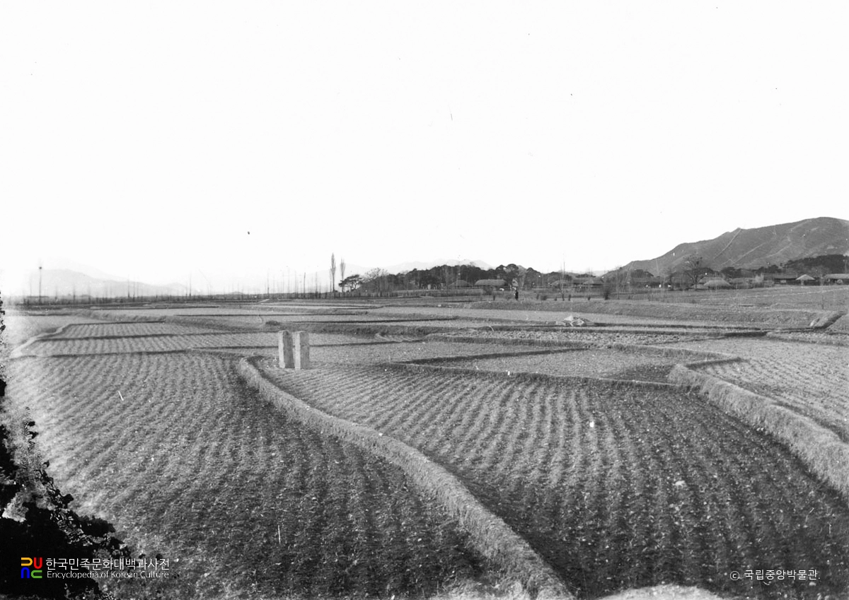 경주 보문사지 연화문 당간지주 전경