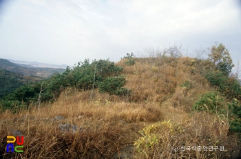 서천 건지산성 성벽 능선