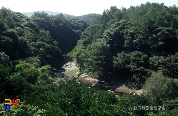 제주 안덕계곡 상록수림