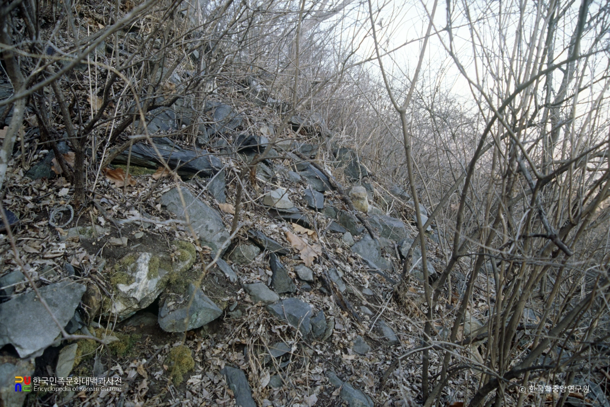 구여산성