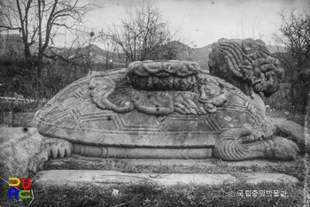 여주 고달사지 원종대사탑비 귀부 측면