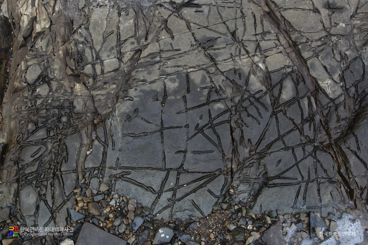 남해 가인리 화석산지