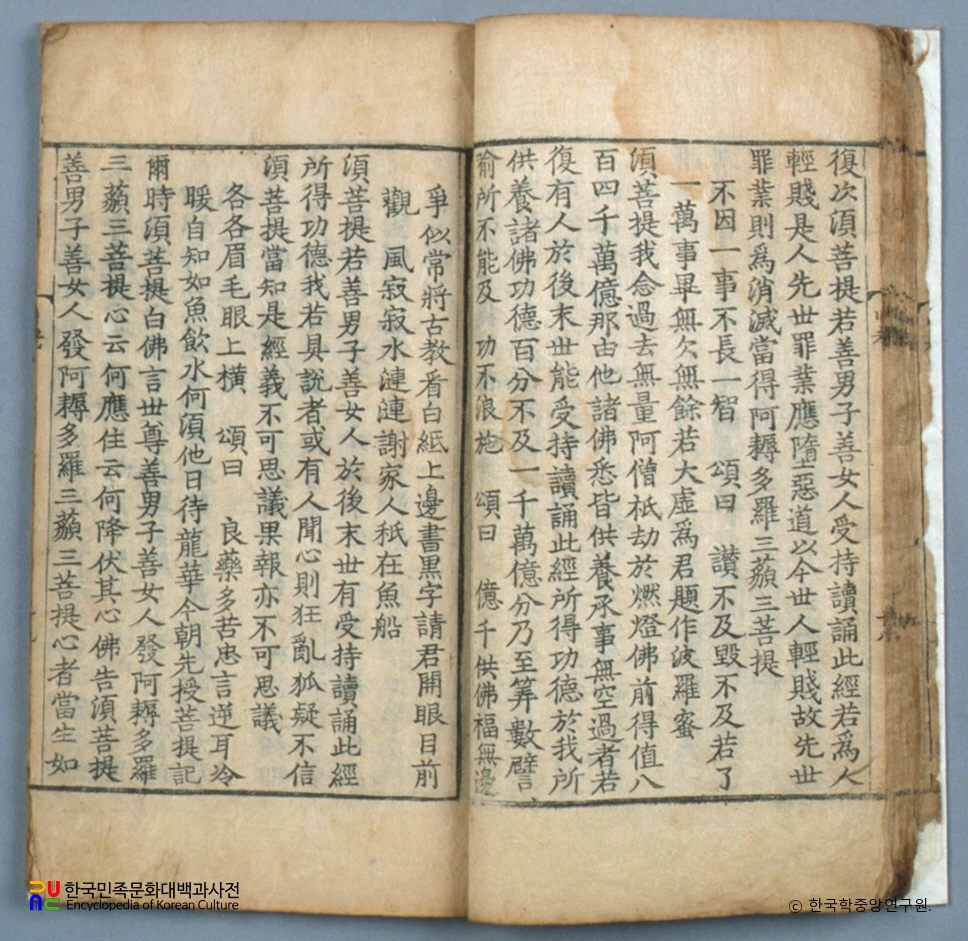 천노해 금강반야바라밀경