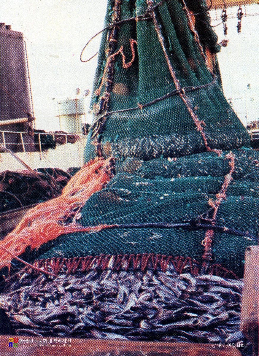 북태평양 선미트롤어선의 어로 작업