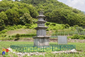 횡성 신대리 삼층석탑
