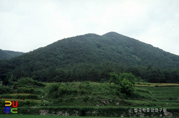 금성산