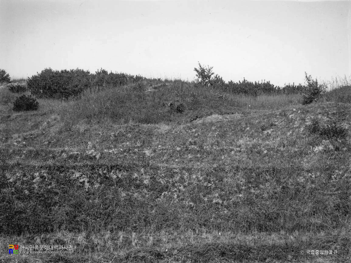 여주 매룡리 고분군 중 8호분 전경